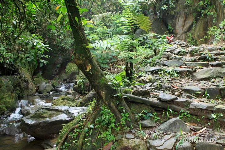 curug cadas ngampar bogor