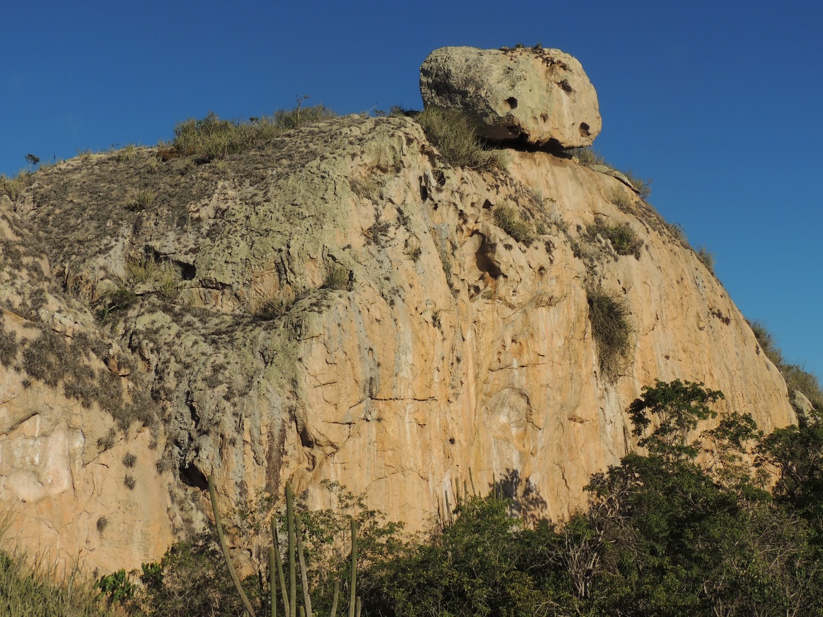 Cauí Vieira Algodão de Jandaíra/PB Qualidade!