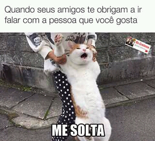 Memes engraçados Memes engraçados