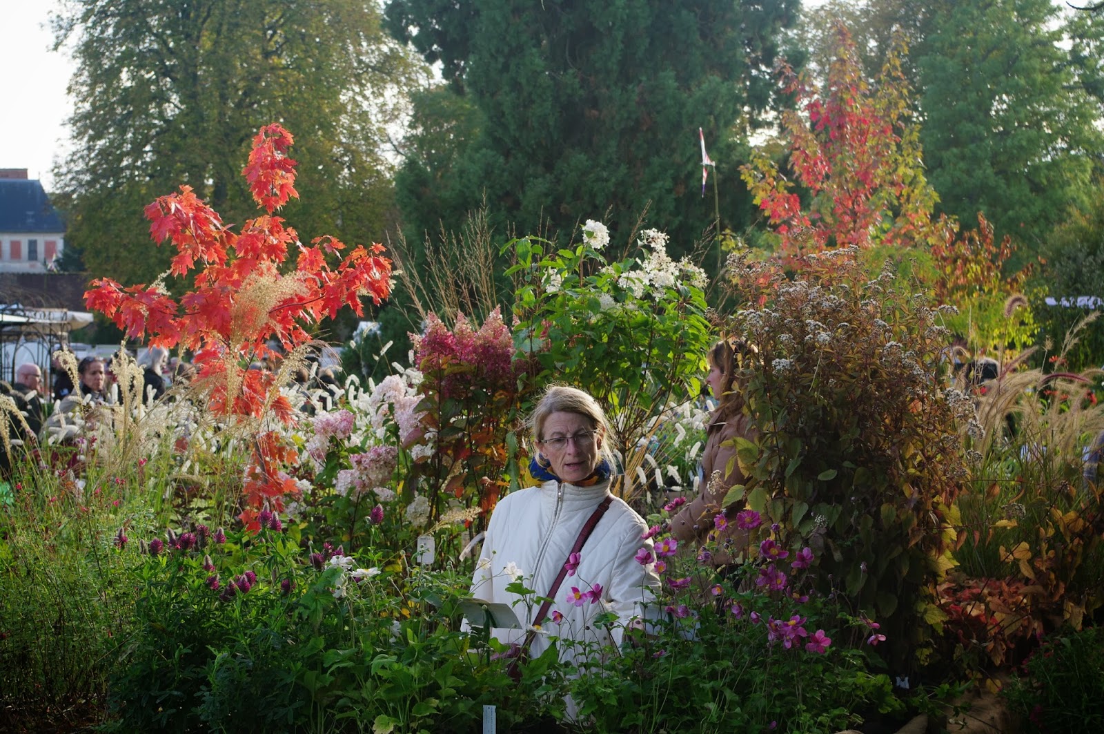 LA BLOGAZETTE DES ULIS et du HUREPOIX...: LES JOURNEES DES PLANTES DE