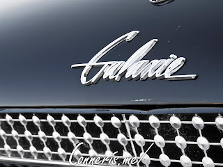 Ford Galaxie Badge