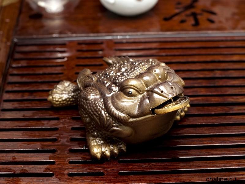 внешнее строение лягушки ротовой полости. правильно расположить лягушку. якобсонов орган у амфибий. пищеварительная система амфибии лягушка. пищеварительная система земноводных схема.