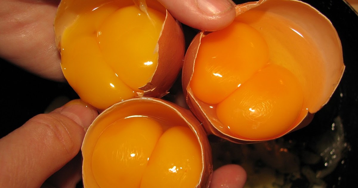 How are eggs (hen's) with two yolks produced? Can that happen naturally