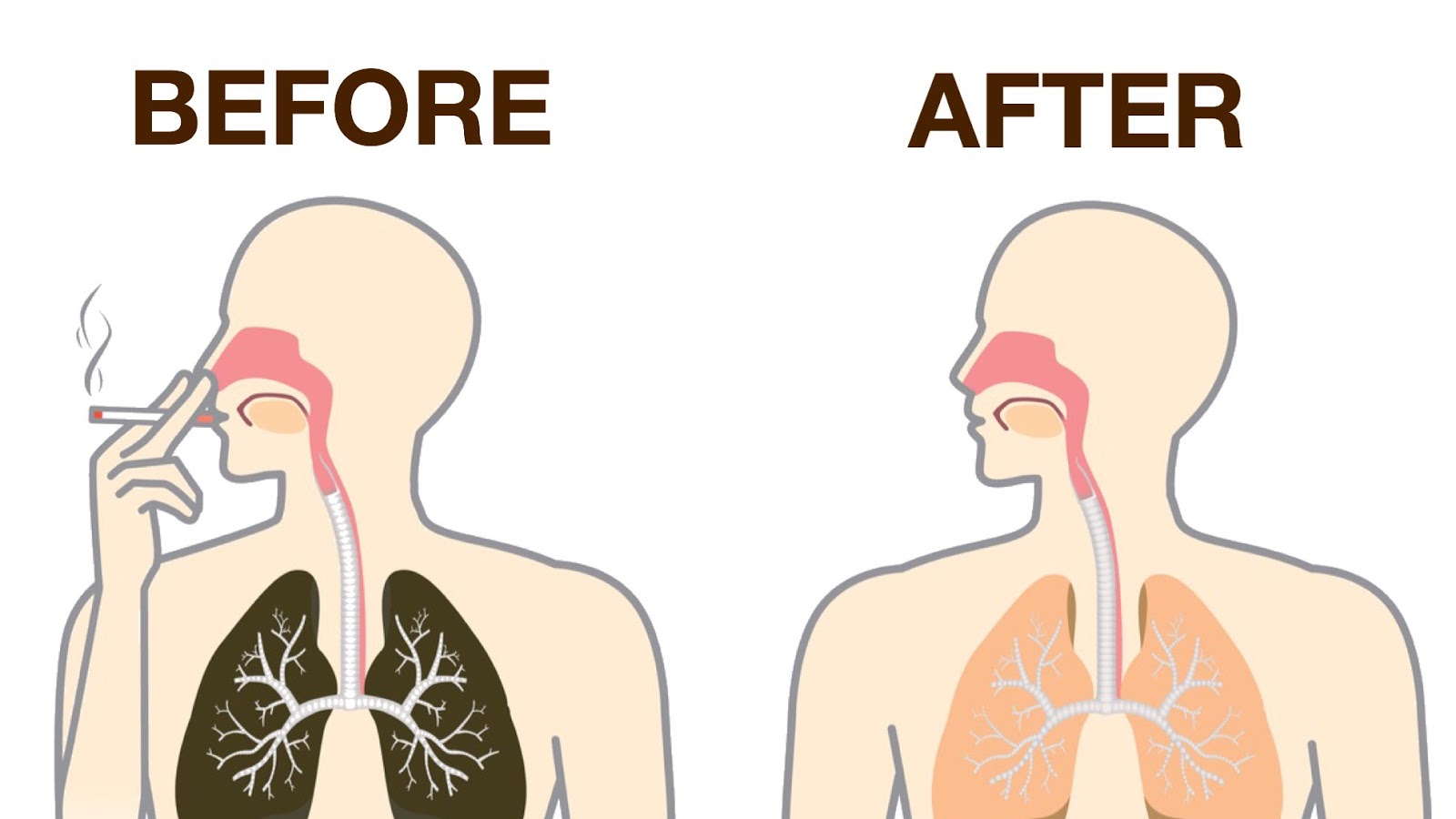How To Naturally Detox Nicotine From Your Body