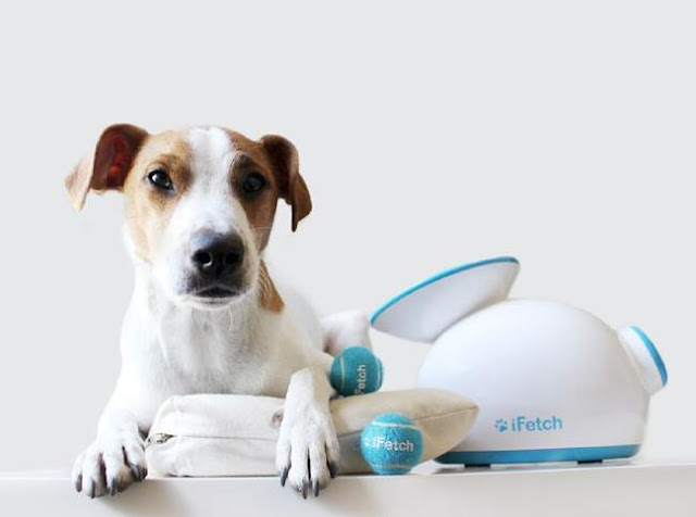 Lanzador de pelotas automático para perros iFetch