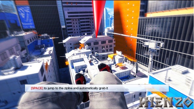 Flying fox Flying fox