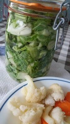 Fanes de chou fleur fermentées ;Fanes de chou fleur fermentées