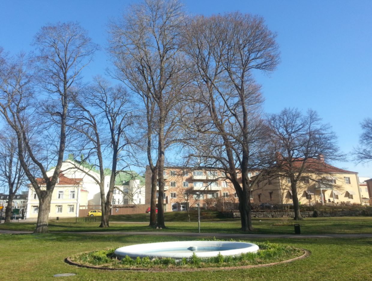 Skum I Urinen På Morgonen