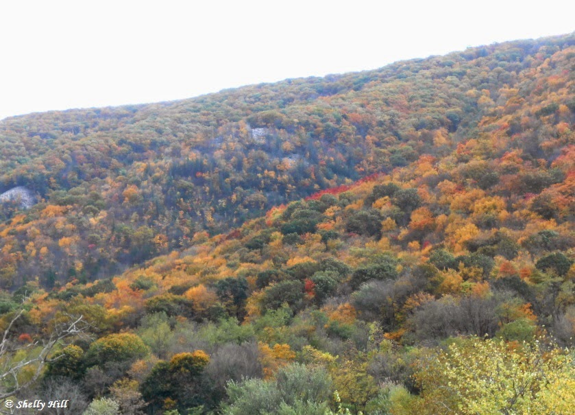 Fall Foliage in Pennsylvania