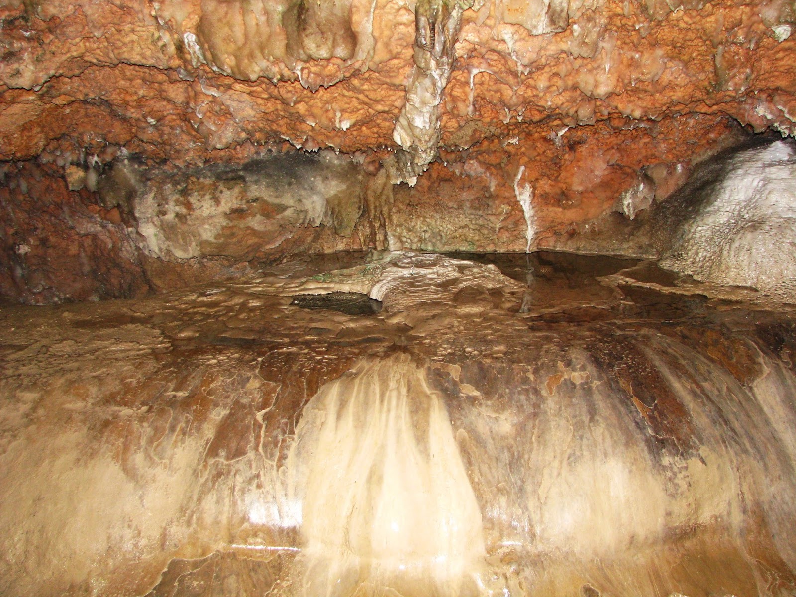 Fossil Matter The living cave floor intro to cave faunas