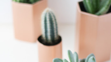 DIY Maceteros Fáciles