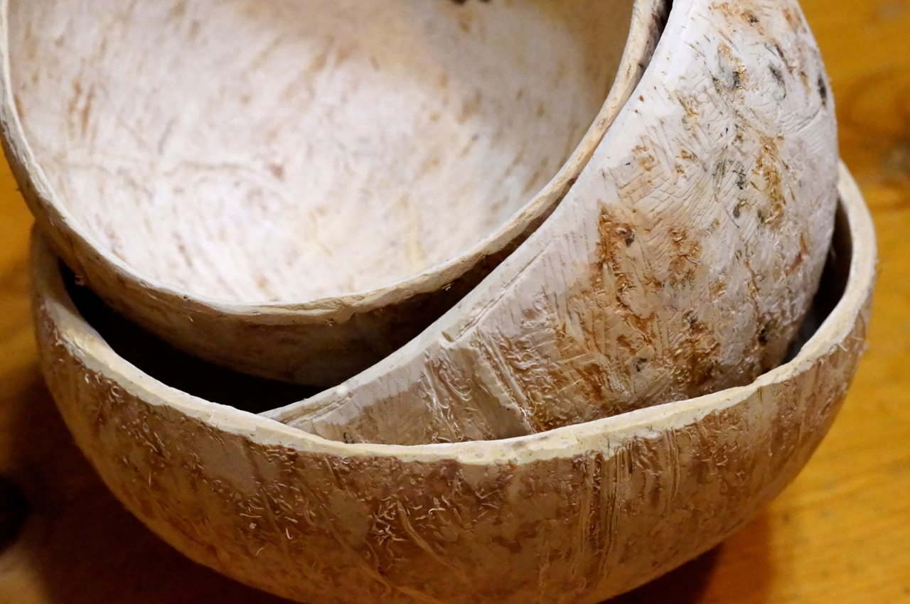 The Sunny Raw Kitchen How to Make Coconut Yogurt (and Coconut Bowls!)