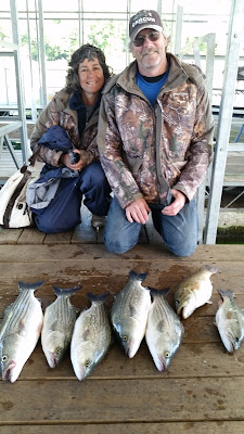 Norfork Lake fishing, striper fishing, white bass fishing, Ozark moutains in Arkansas, hybrid bass fishing,