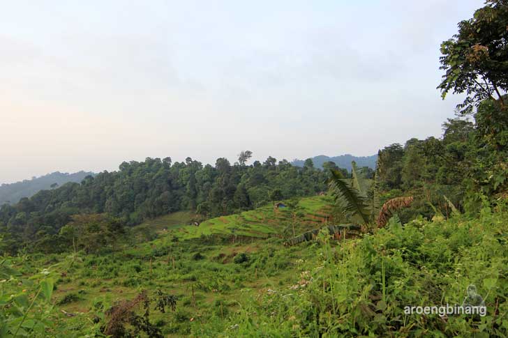wisata linggoasri kajen pekalongan