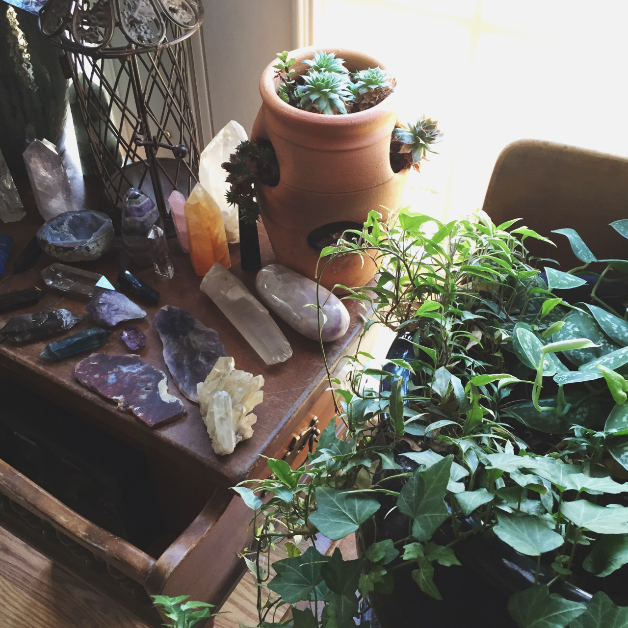 Moon to Moon House plants and crystals.... The Opaque