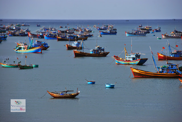 Cảng cá Mũi Né một ngày nắng đẹp