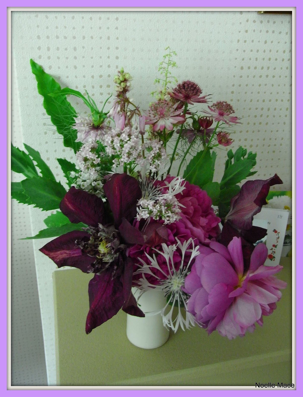 Stasher Clematis make lovely cut flowers