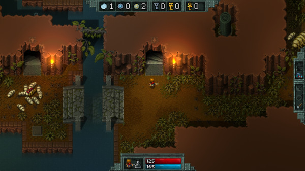 Hammerwatch For PC