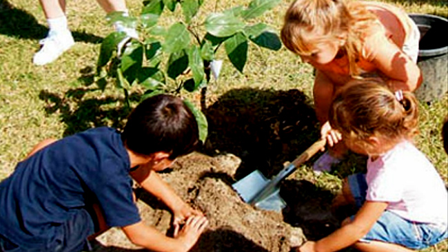 Escolares participarán en jornada de plantación de árboles autóctonos - duraznodigital.uy