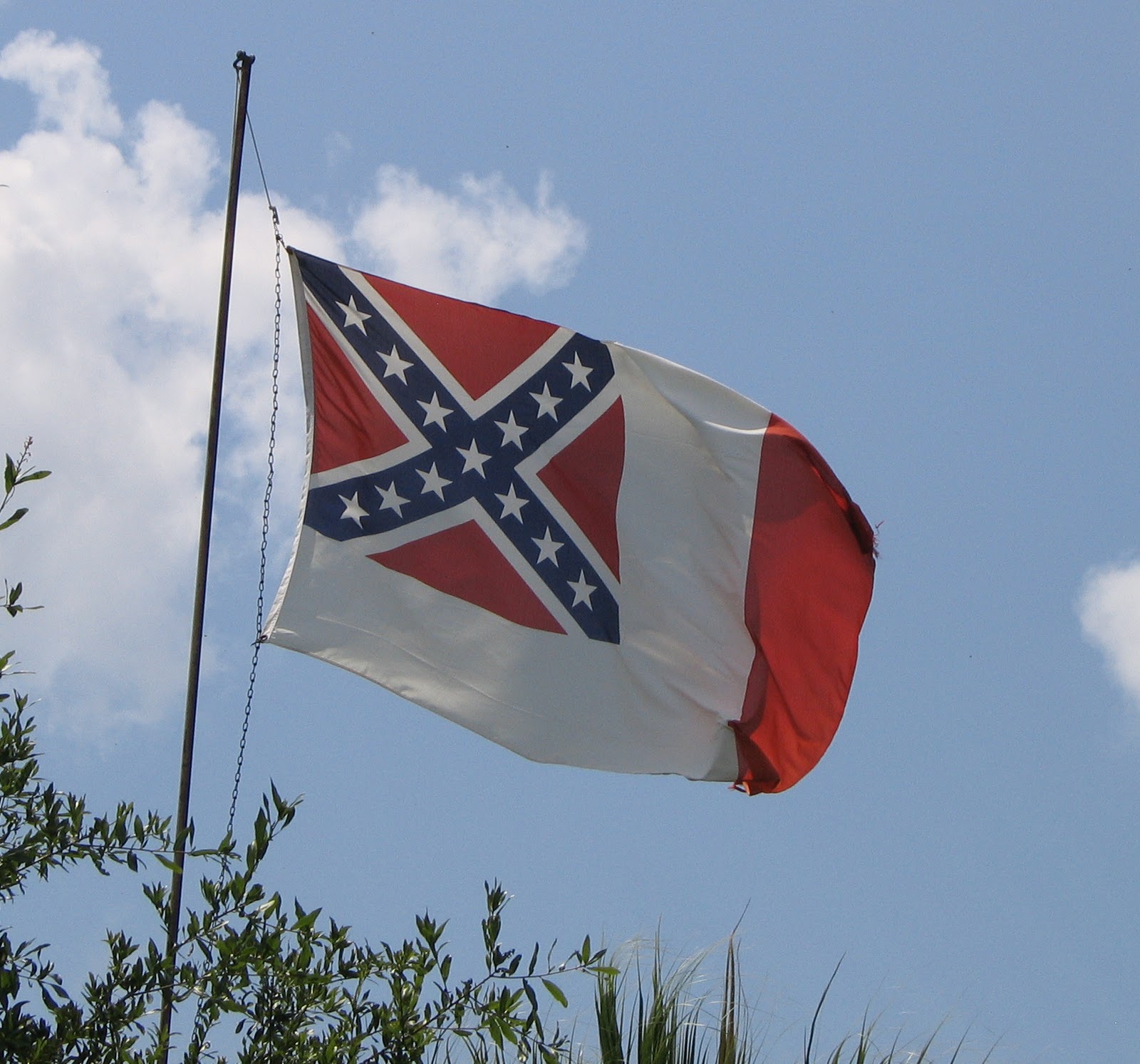 The Bonnie Blue Blog: What does this flag mean to you? "Freedom"