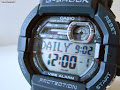 Casio GD-350