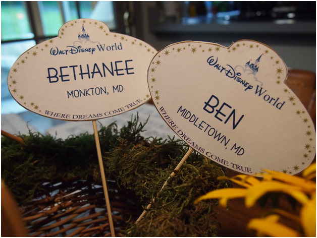 Disney Wedding Inspiration: At-Home Disney Wedding - Bethanee and Benjamin