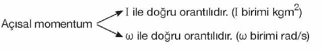 12. Sınıf Fizik Başak Yayınları 51. Sayfa Cevapları