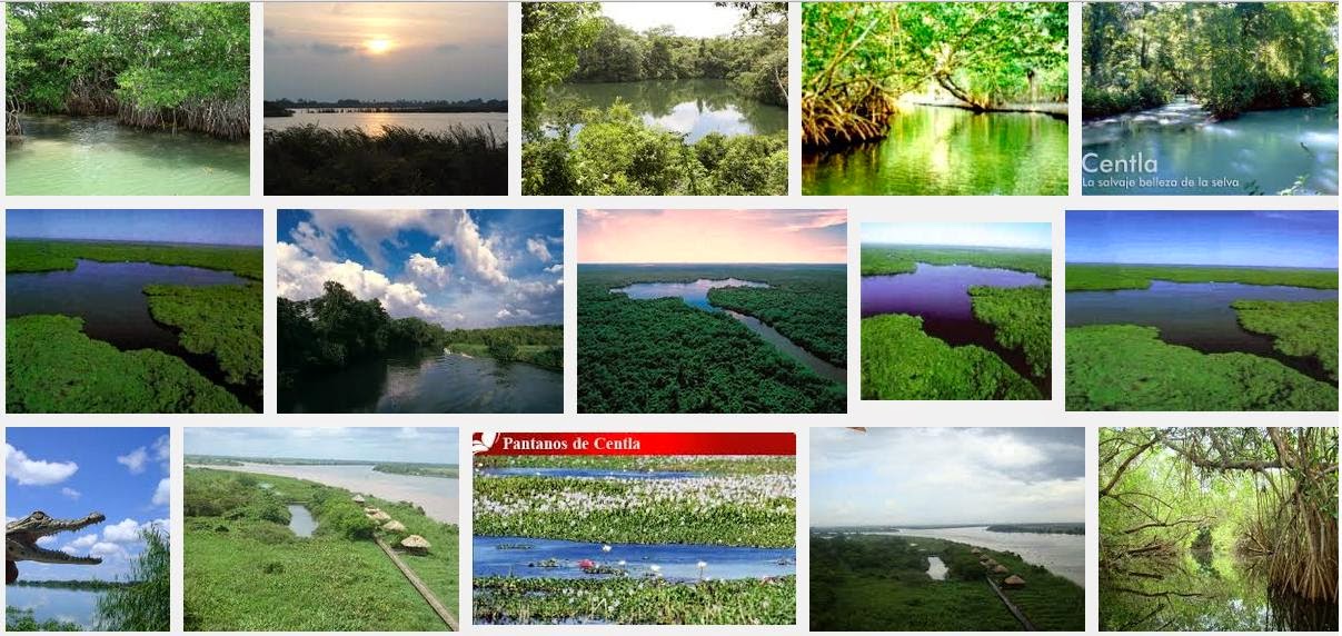 Ecoturismo México Pantanos de Centla Reserva