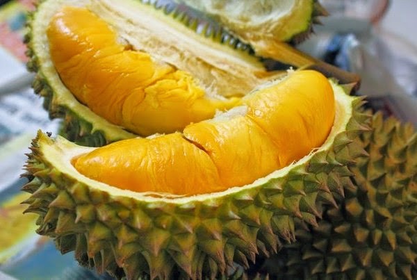 Bolehkah ibu hamil makan durian Bolehkah ibu hamil makan durian