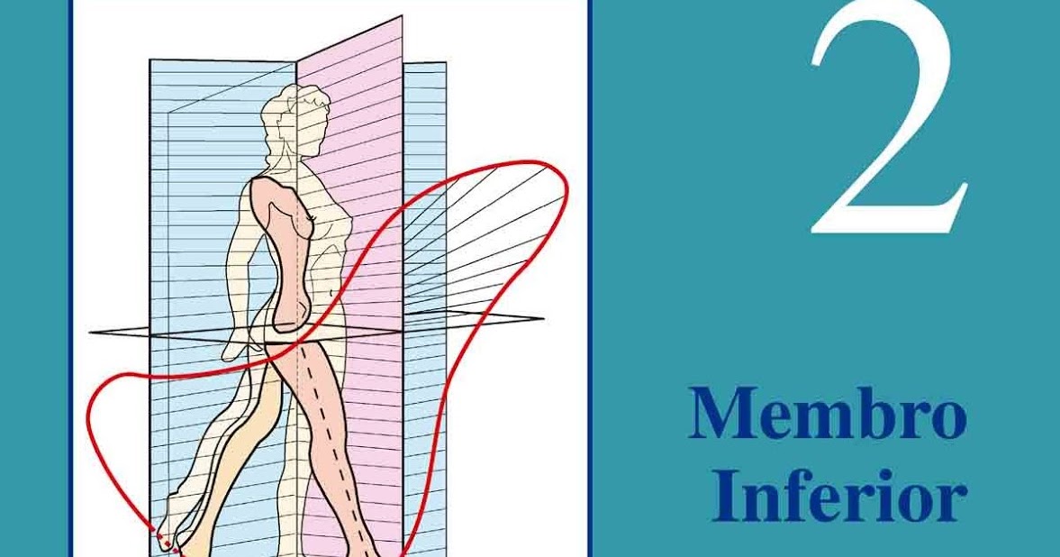 Fisiologia Articular Kapandji Pdf