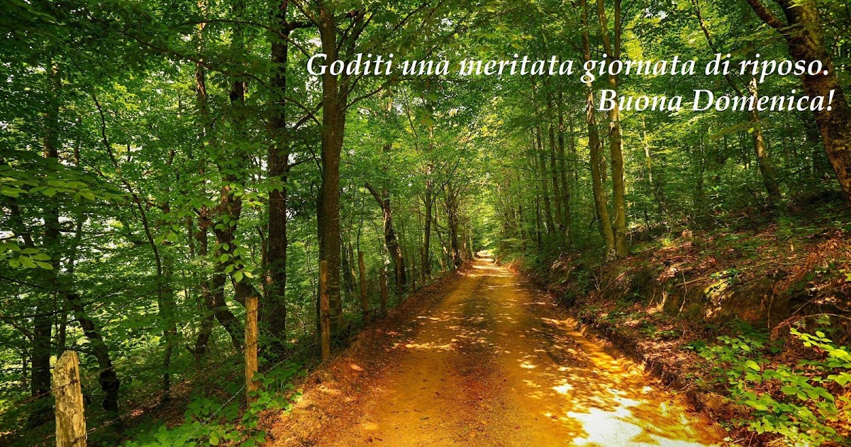 Frasi Per Augurare Buona Domenica Messaggi Dolci