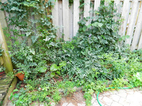 Toronto Playter Estates backyard clean up before by Paul Jung Gardening Services