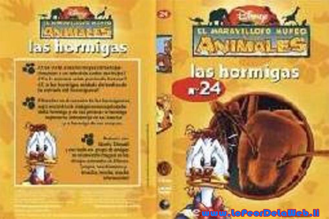 El Maravilloso Mundo de los Animales (Disney) Ep 21 a 26
