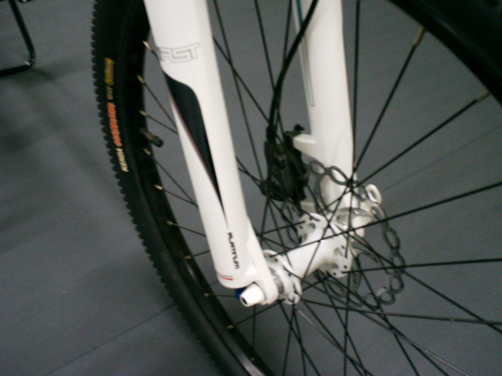 My Food Guide & Cycling Blog RST First Platinum (2011) Suspension Fork