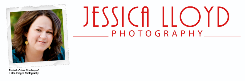 Jessica Lloyd Photography - Family Portraits  - Salt Lake City, Utah