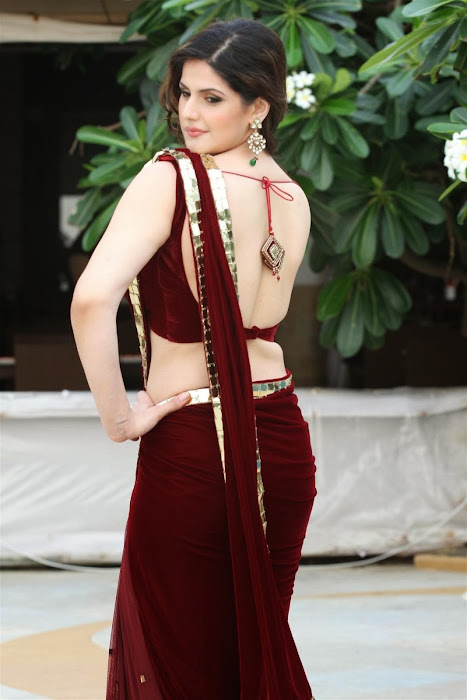 zarine khan glamorous in saree hot images