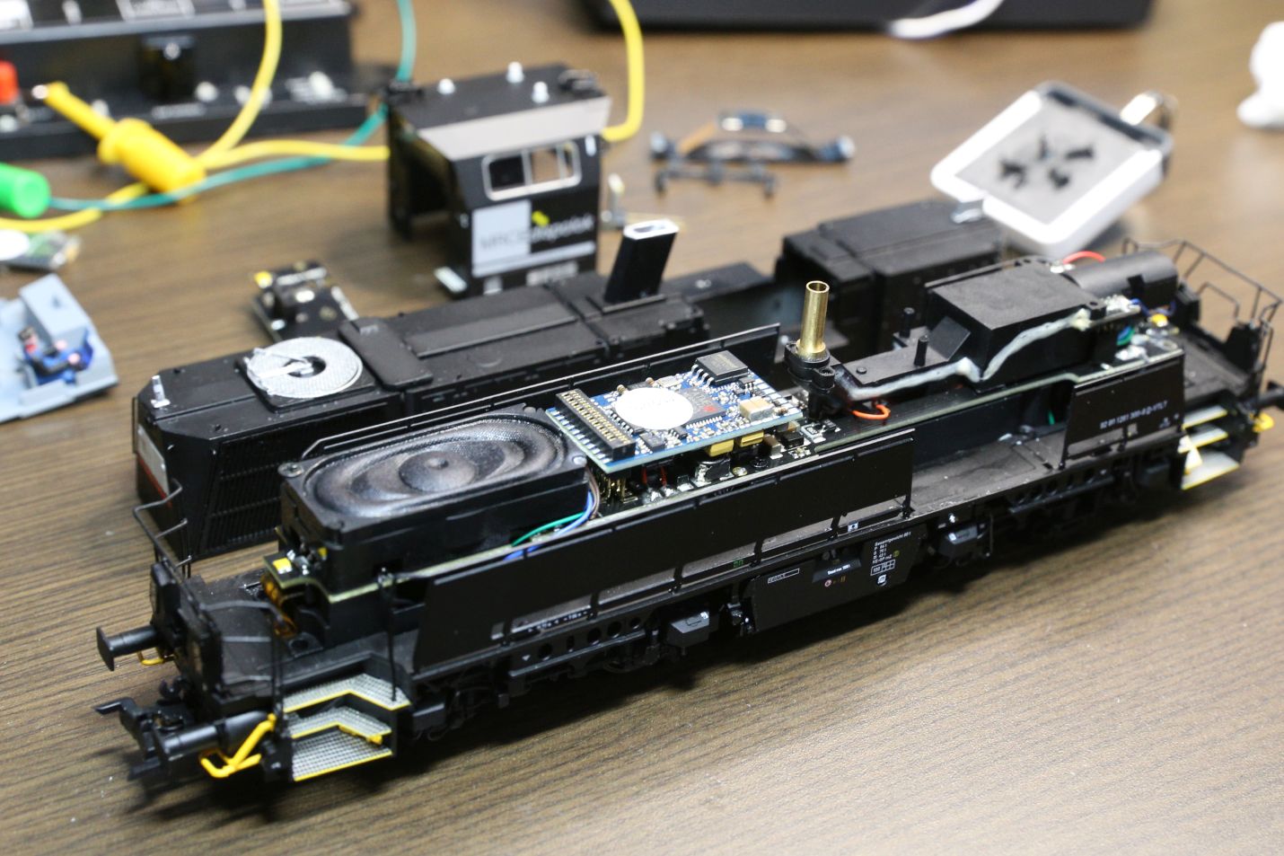 クマが史上初めて脳手術を受ける