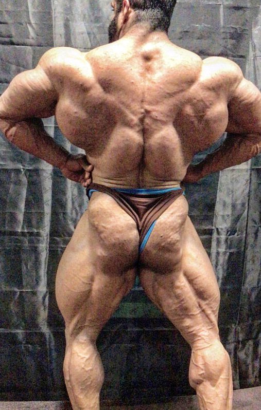 Hadi Choopan muscle