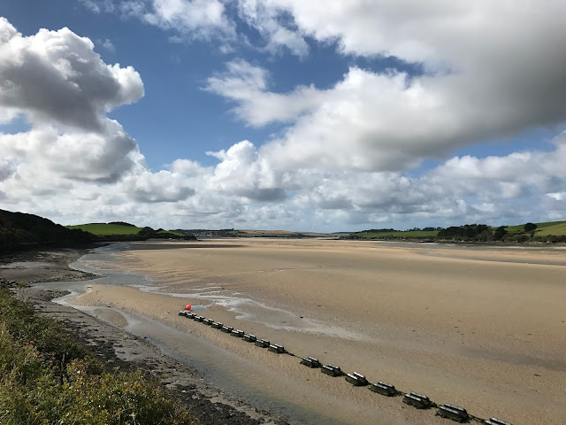 Camel Estuary from the Camel Trail, Padstow, Cornwall