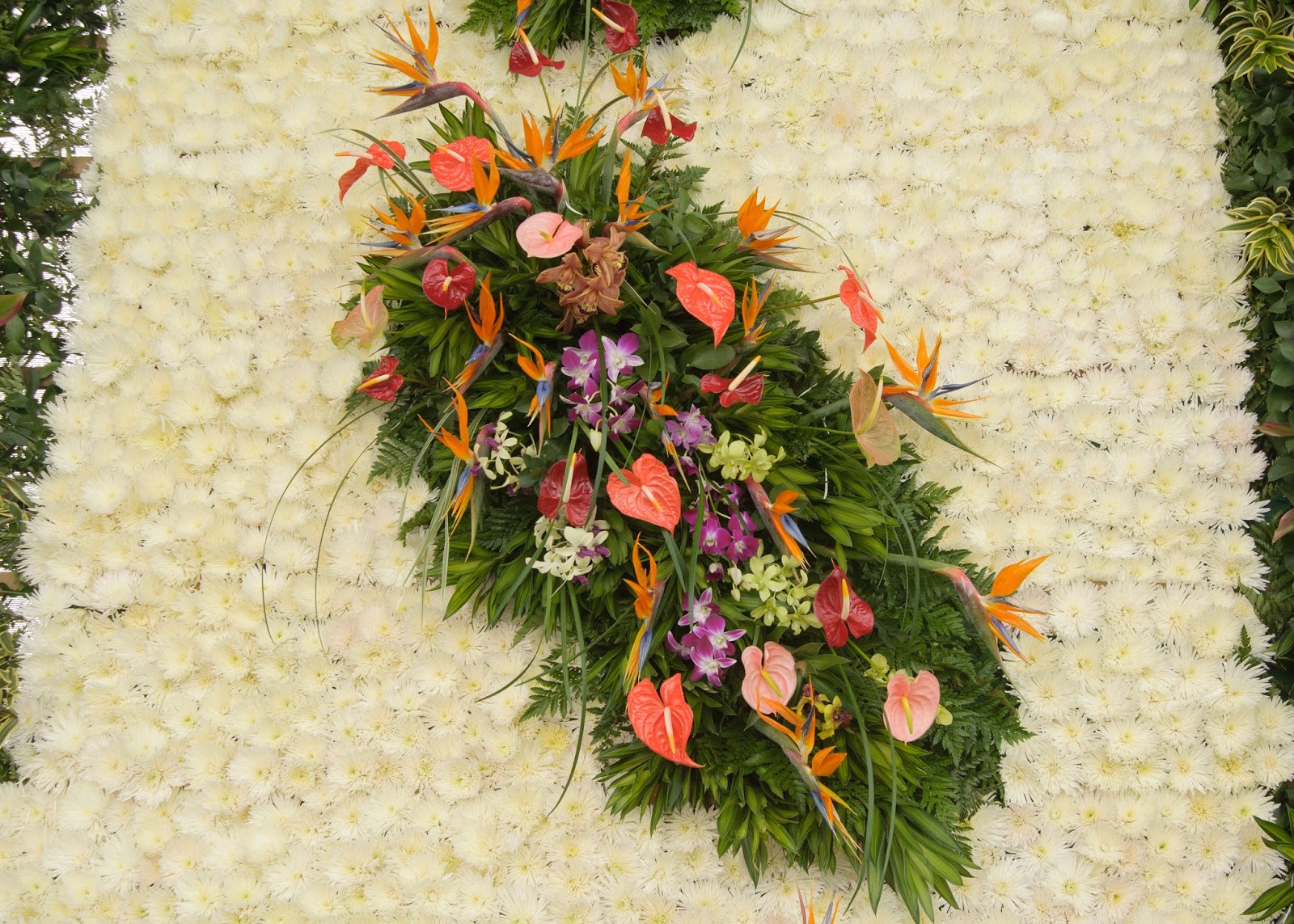 Floristería Hojas Blancas