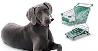 animais de estimação
