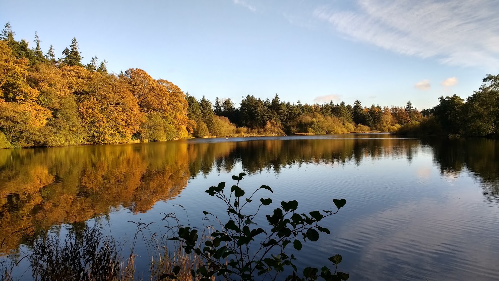 A Passion For Cards Hillsborough, Co. Down