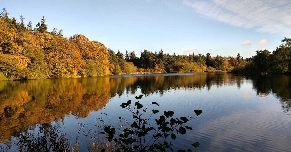 A Passion For Cards Hillsborough, Co. Down