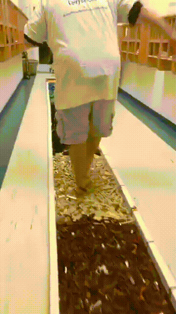 uAxVGwd.gif