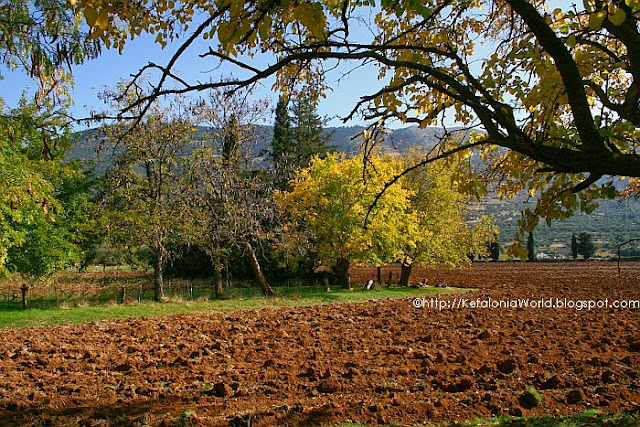 Omala Valley, Kefalonia