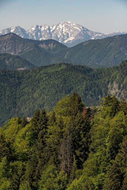 Schober und Frauenkopf  Wanderung Fuschl am See  Wandern FuschlseeRegion Salzkammergut 07