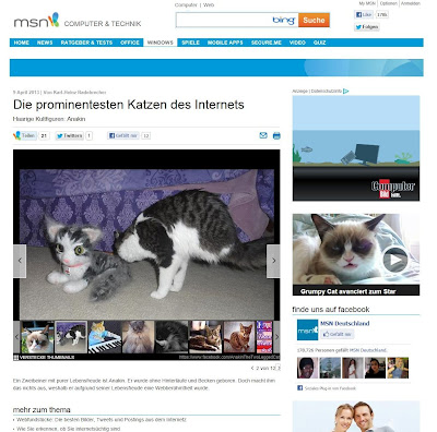 MSN Germany, Anakin The Two Legged Cat