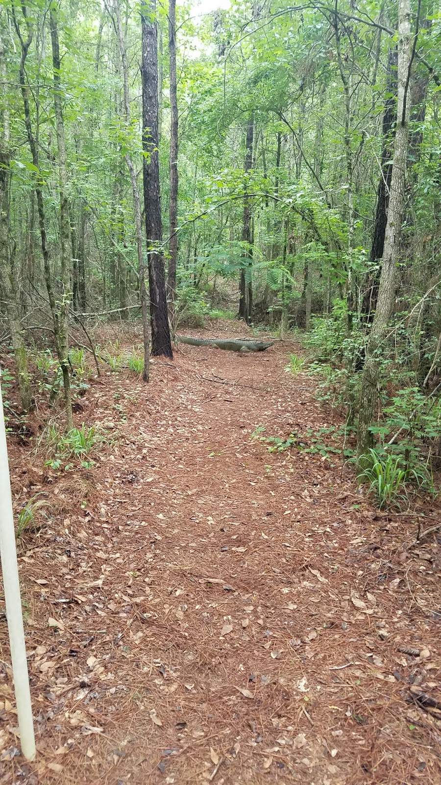 Flat Creek PFA Achery Range Perry