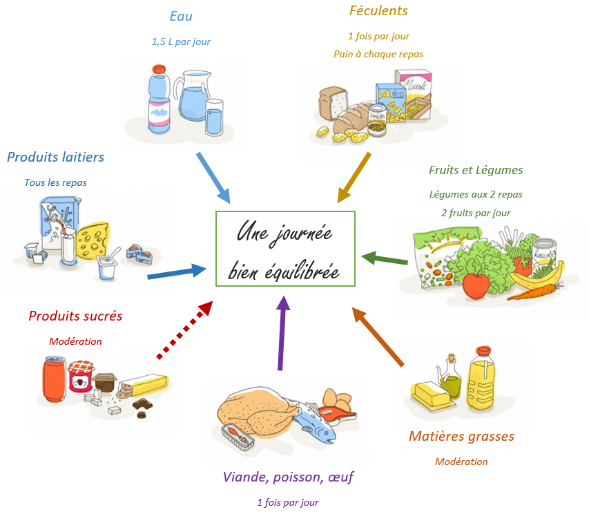 VO2 Bessines Fiche technique L'alimentation du sportif