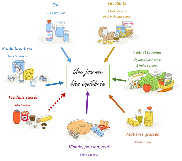 VO2 Bessines Fiche technique L'alimentation du sportif
